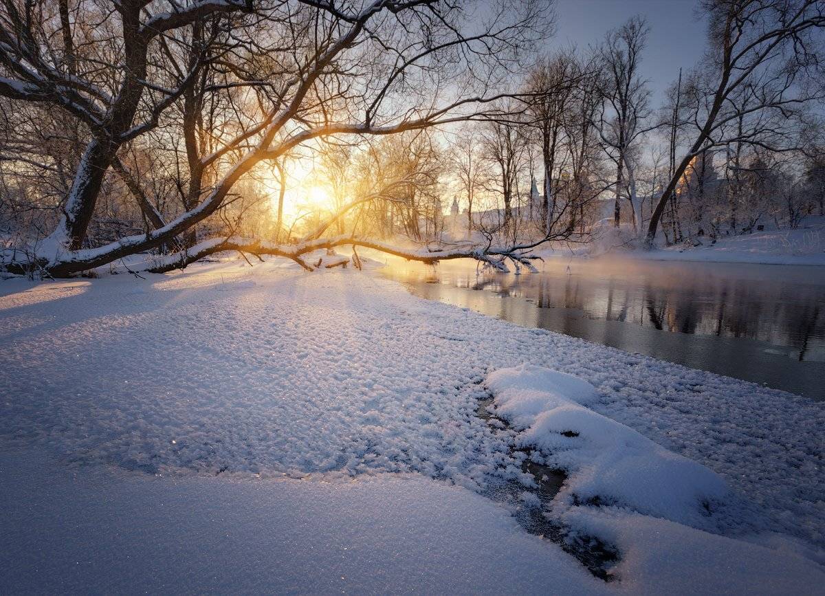 , Денис Сорокин