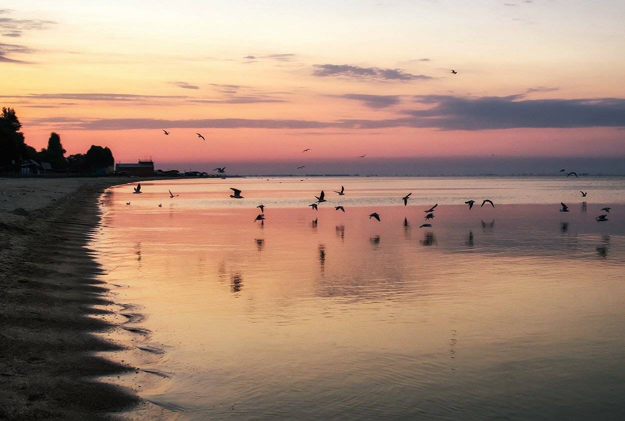 , Игорь Мелекесцев