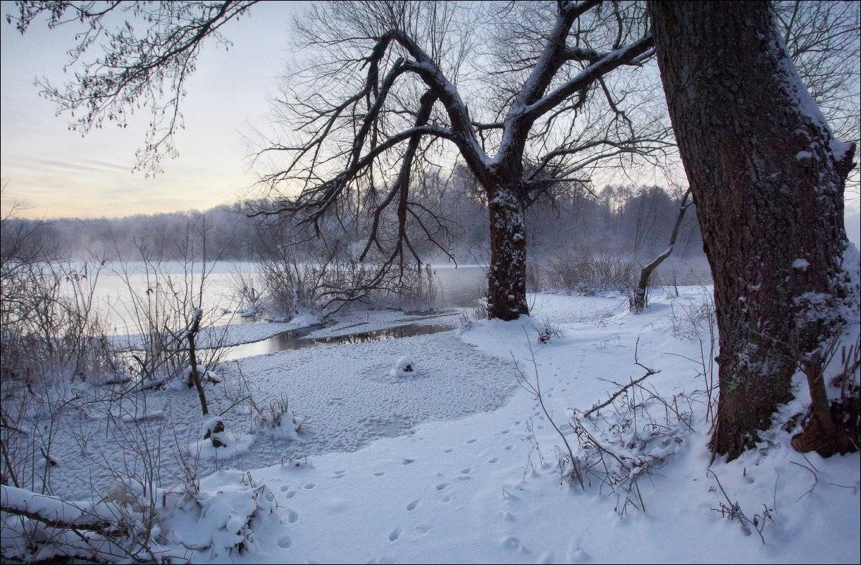 , Вадим Никифоров