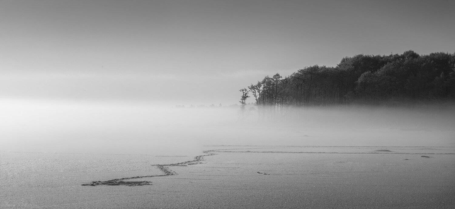 , Анна Пакутина