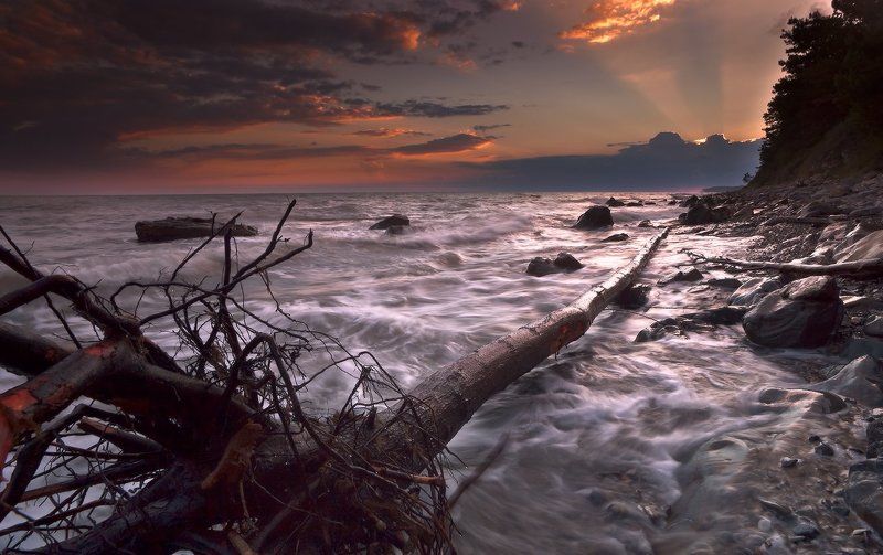 К солнцу )) фото превью