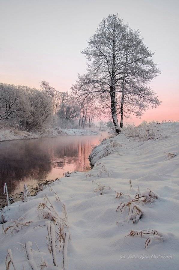 , Katarzyna Gritzmann