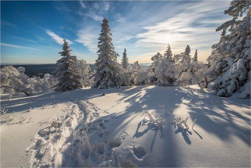 Мороз и солцне