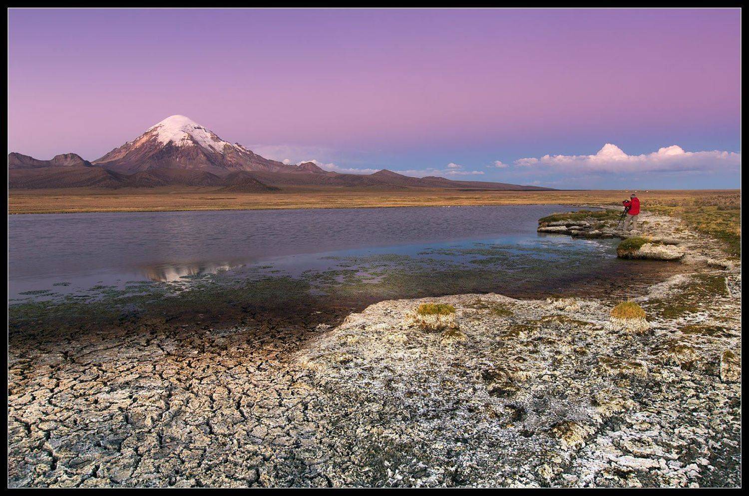 Альтиплано, Боливия, Парк, Сахама, Виктория Роготнева