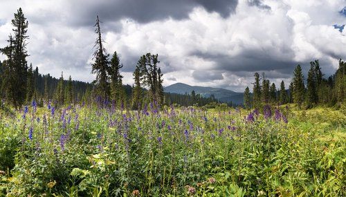 Не камнем - на память, не кипой желтеющих фото…. Вершины останутся с нами - коротким, обманом, полёта!...