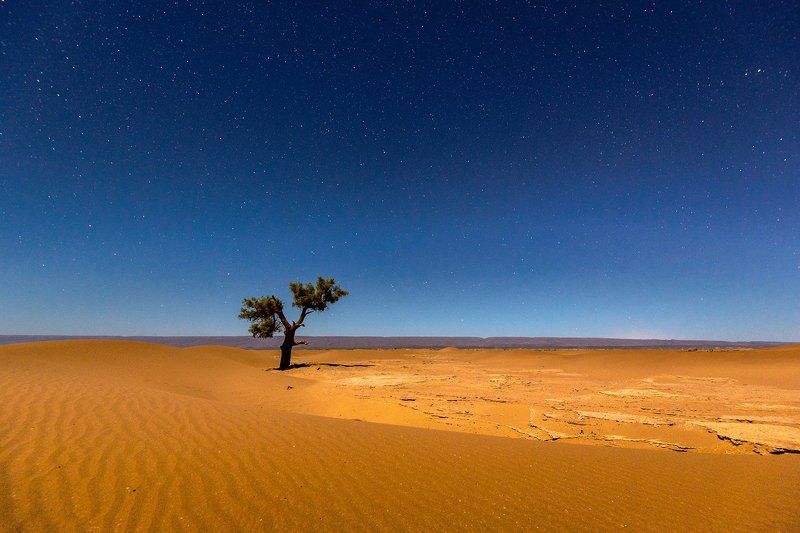 Ночь фото превью