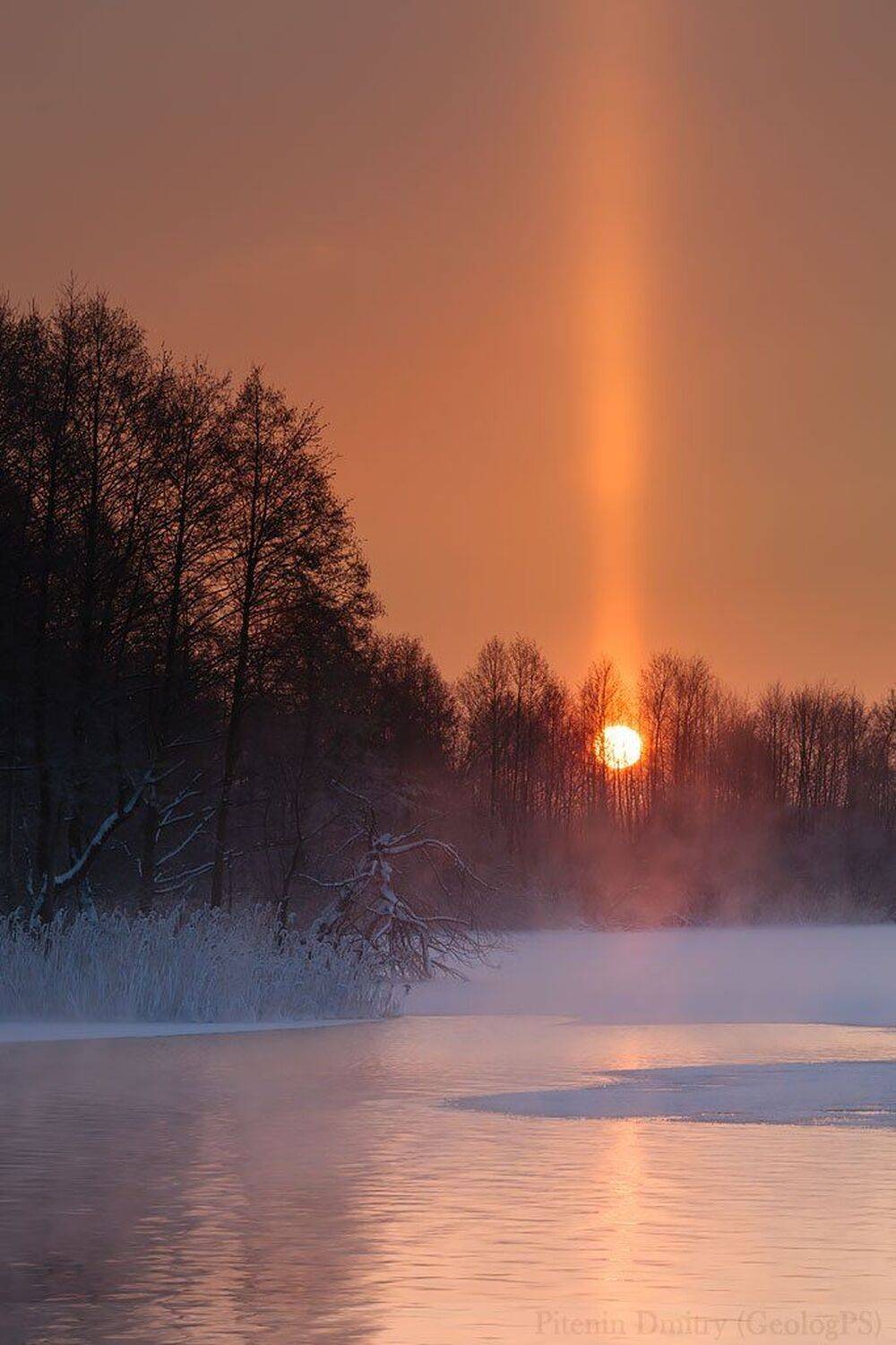 , Питенин Дмитрий