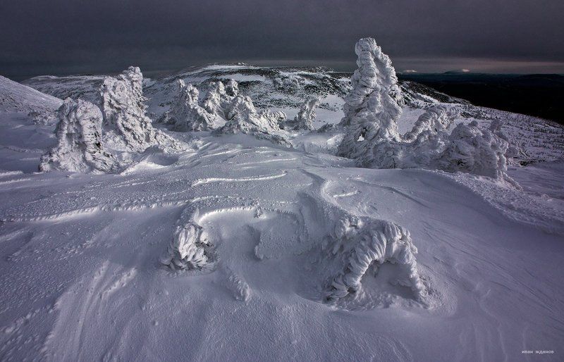 Неведомые существа фото превью