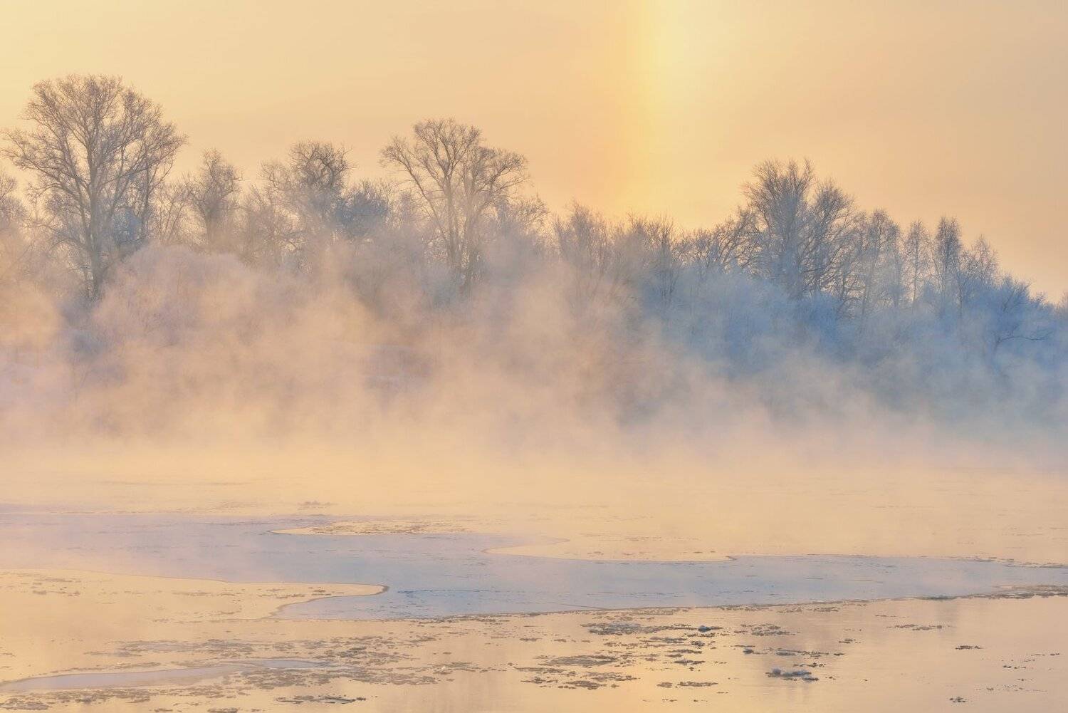 , Максим Евдокимов
