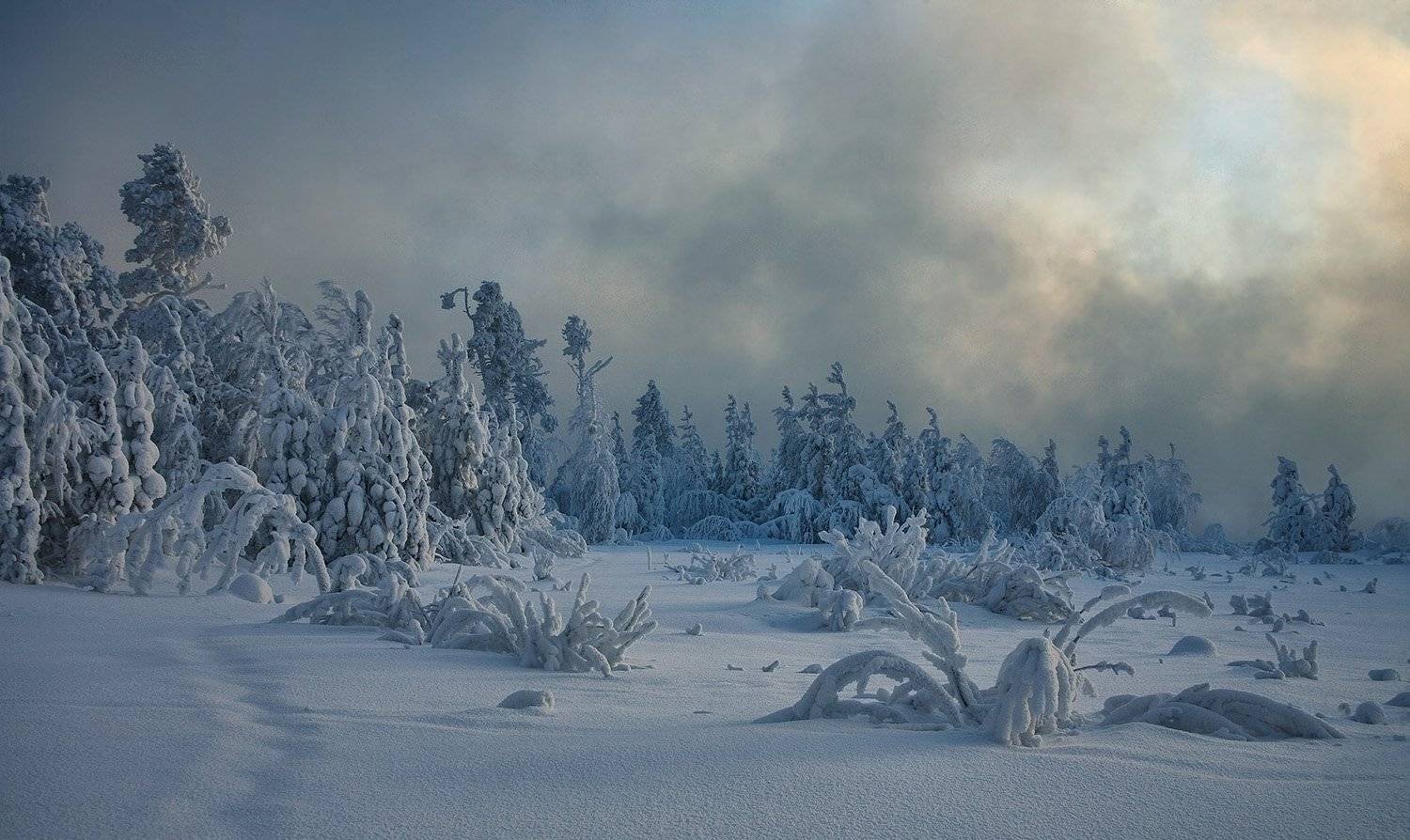 , Борис Полозков