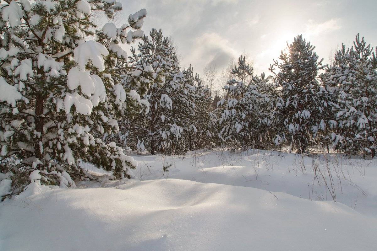 , Александр Удовиченко