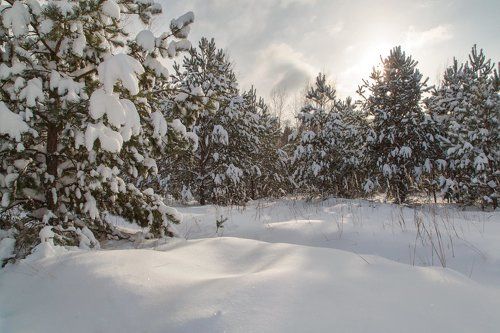 Солнечные ванны