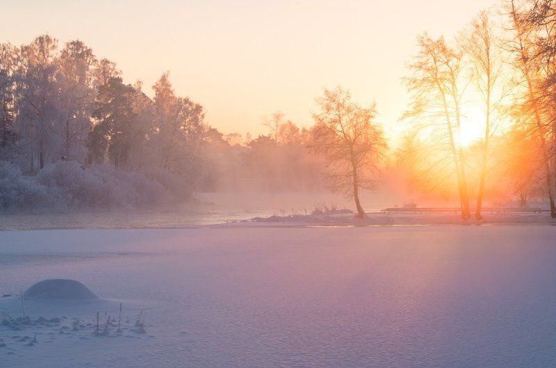 Обыкновенное чудо фото превью