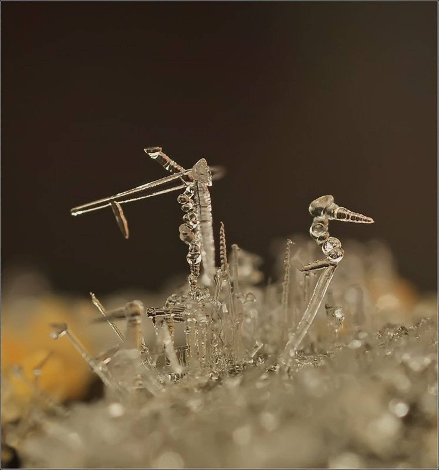 , Андрей Осокин