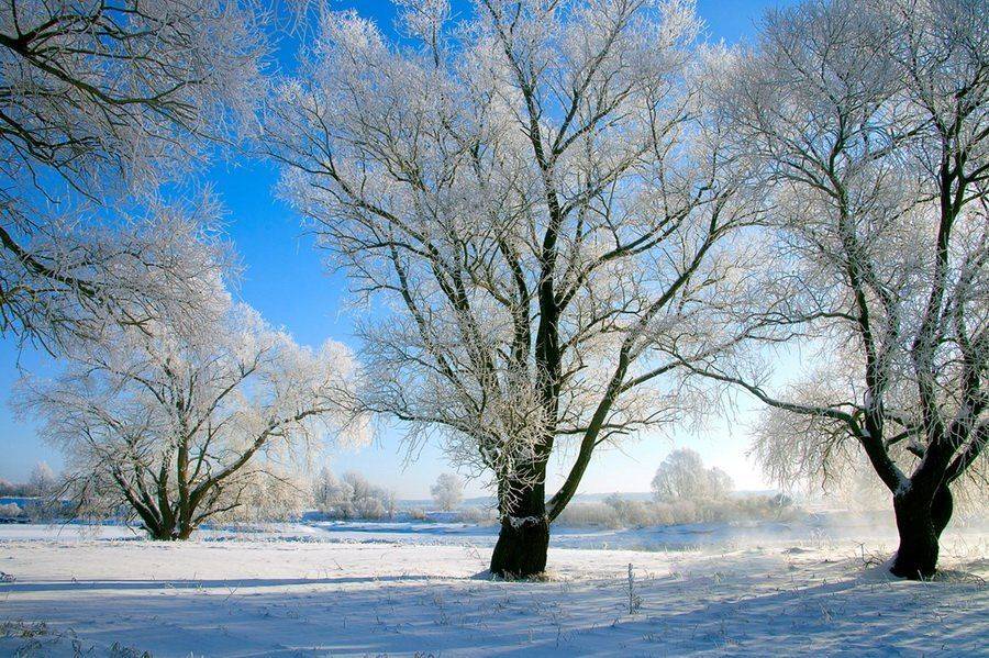 , Валерий Кондратов