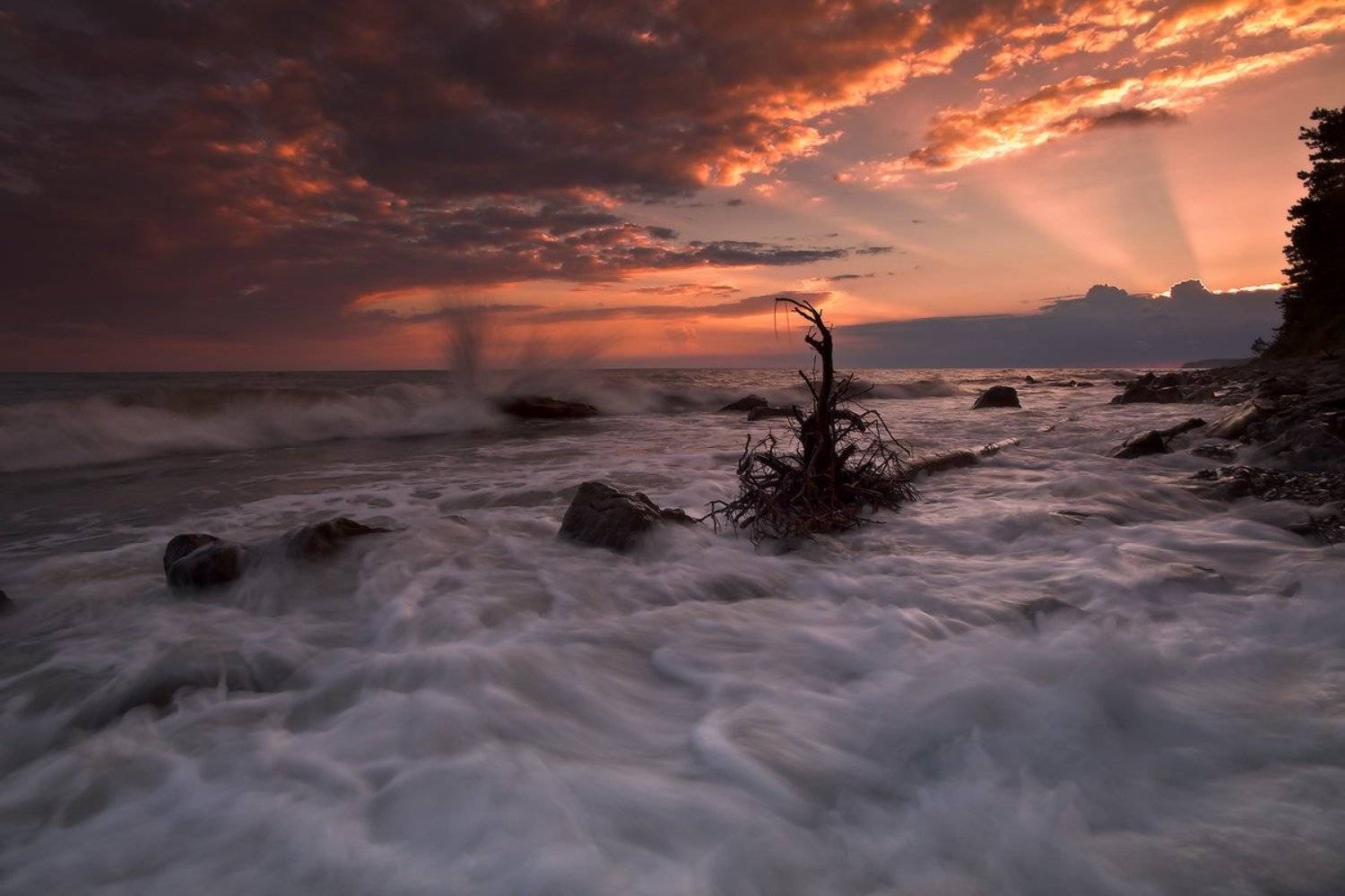 , Ирина Заграничная