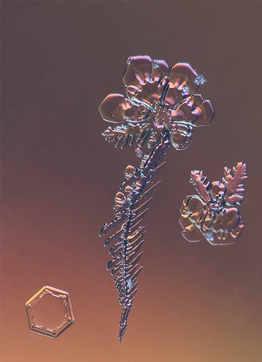 , Валерия Зверева