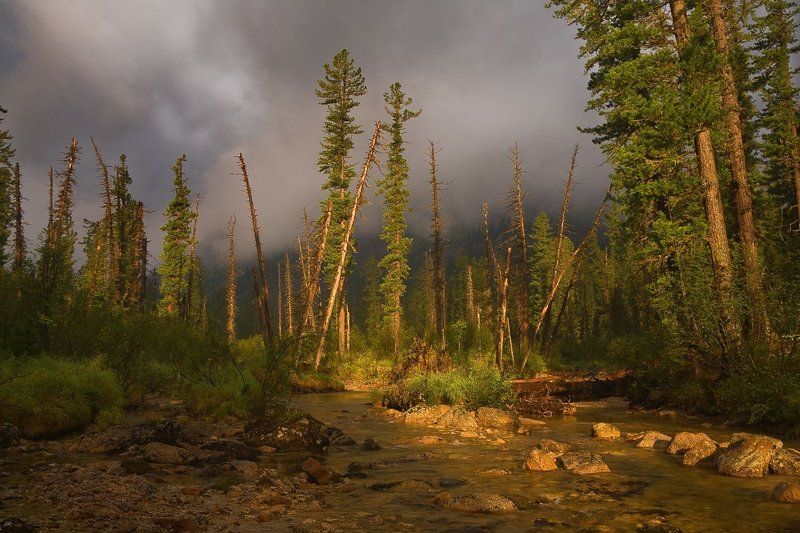 Ергаки, Мимолётность, Поход семьёй О мимолётности фото превью