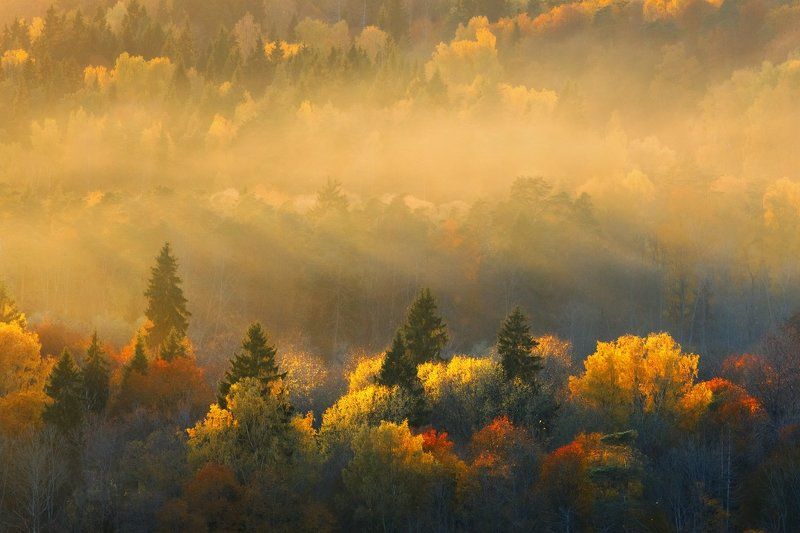Октябрь в Сигулде фото превью
