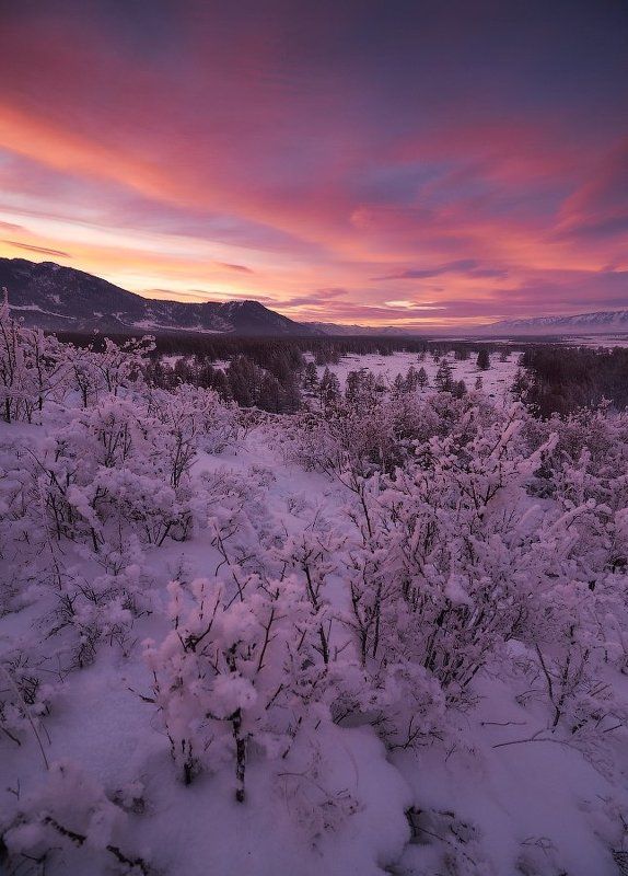 Последние лучи Мультинского заката. фото превью