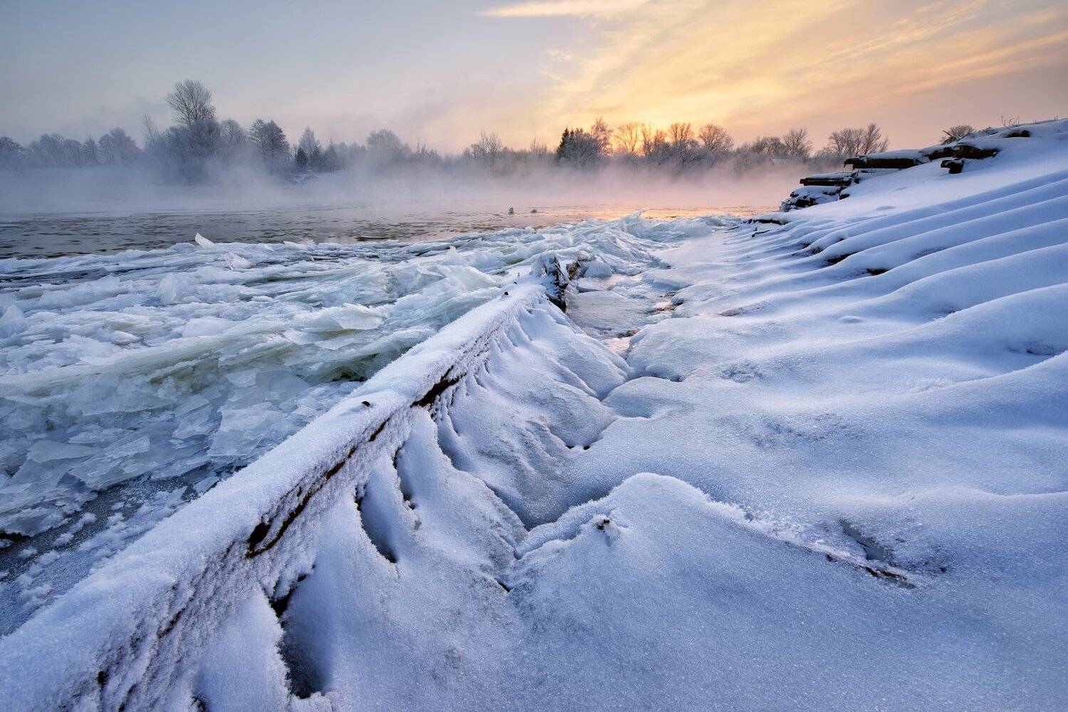 , Максим Евдокимов