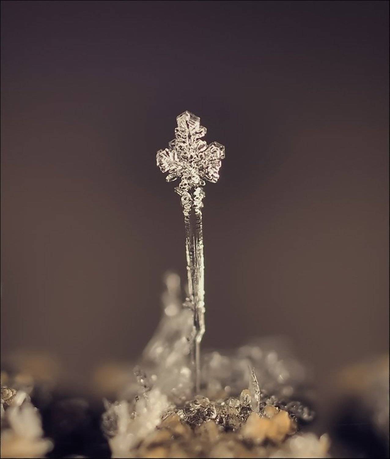 , Андрей Осокин