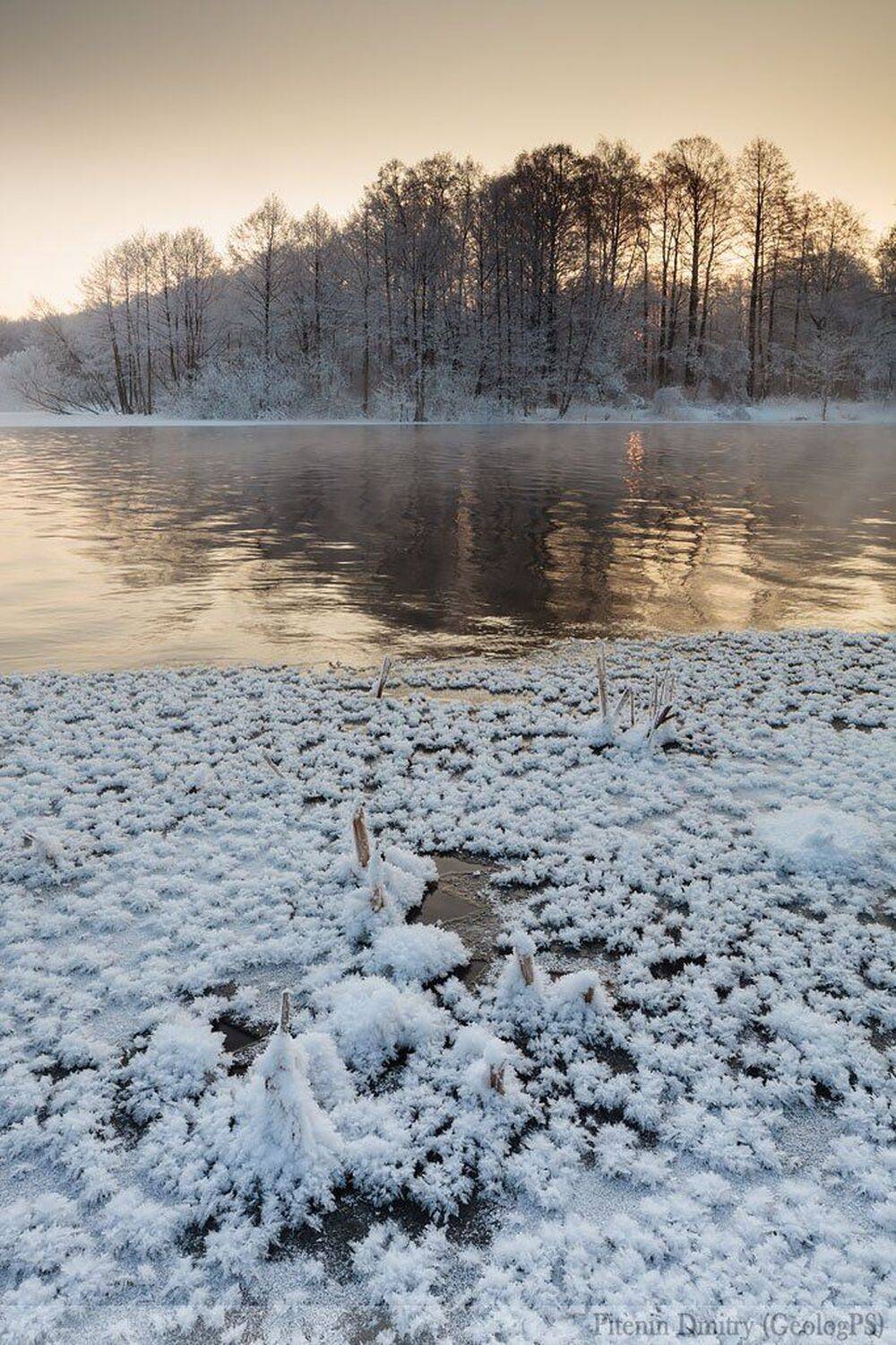 , Питенин Дмитрий
