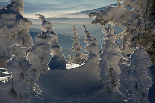 Сибирский этюд