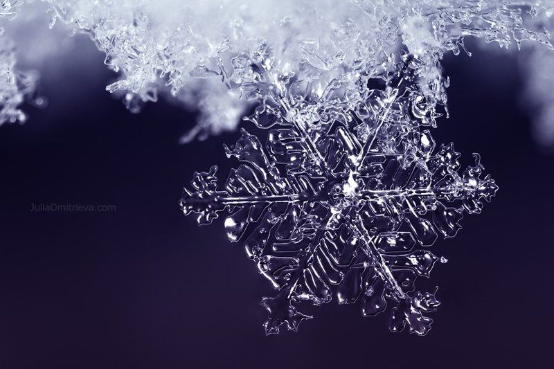 Snow, Snowflake, Winter, Зима, Мороз, Снежинка Snowflake фото превью