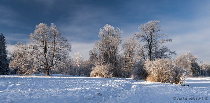 В Павловском парке ... фото превью