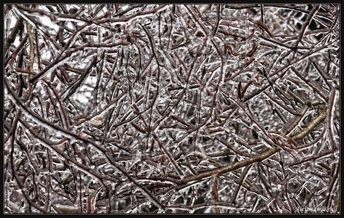 О зимнем хрустале и прибалдевших воробьях...