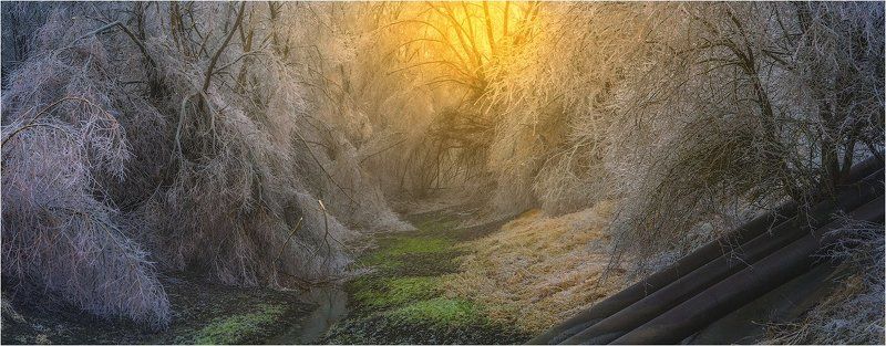 Ледяной дождь *** фото превью