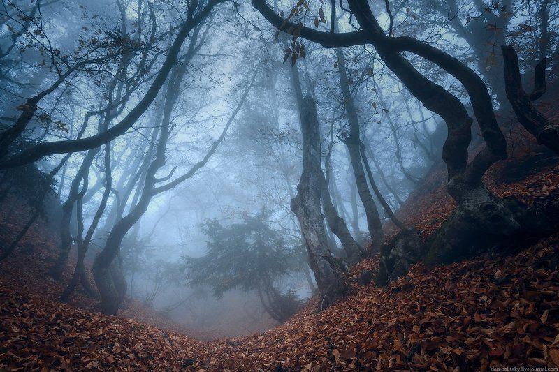 Сонная лощина фото превью