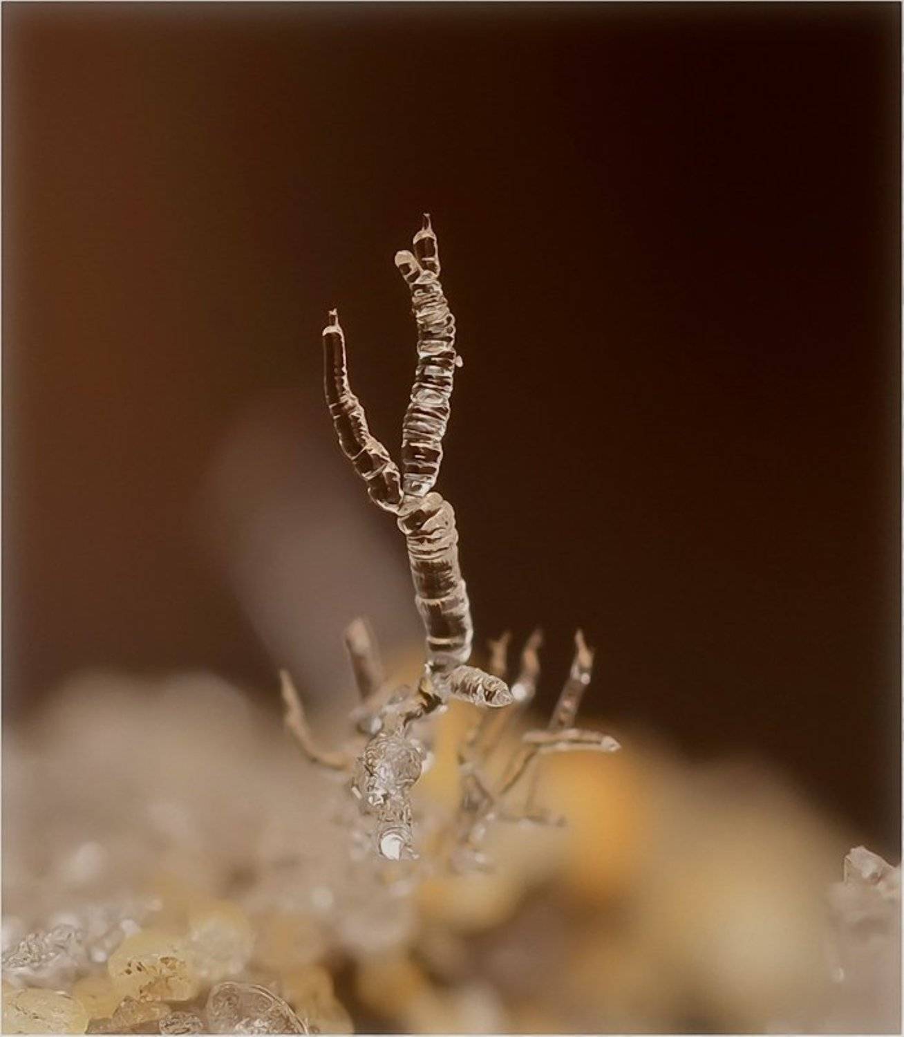 , Андрей Осокин