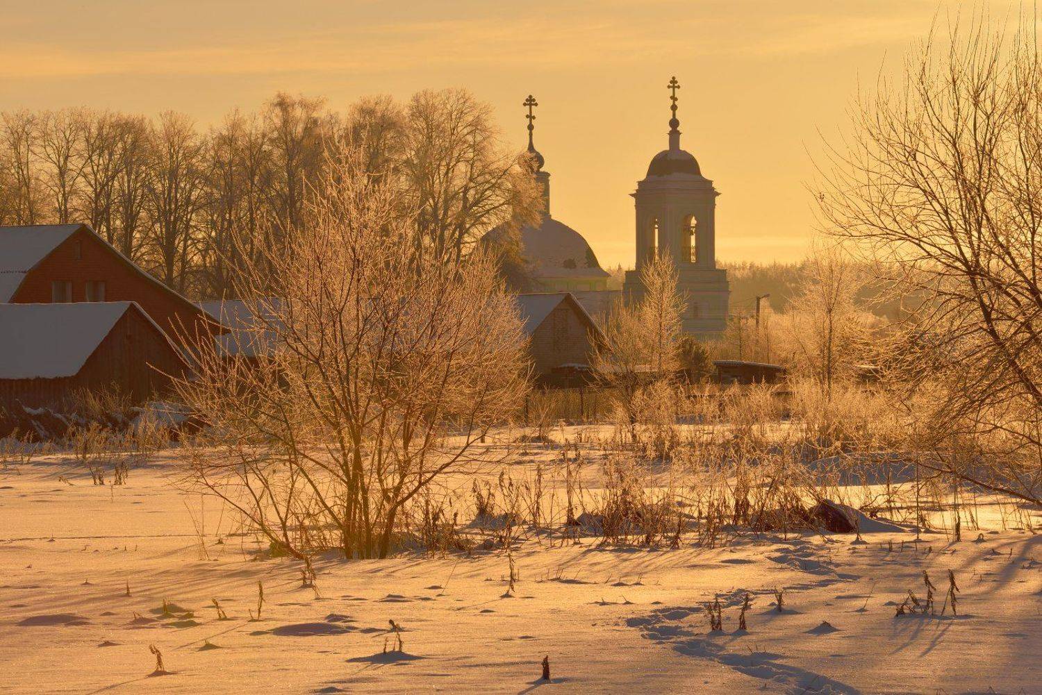 Рязанцы, Максим Евдокимов