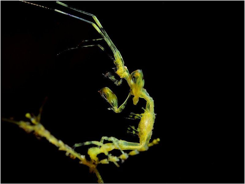 Брейкдэнс фото превью