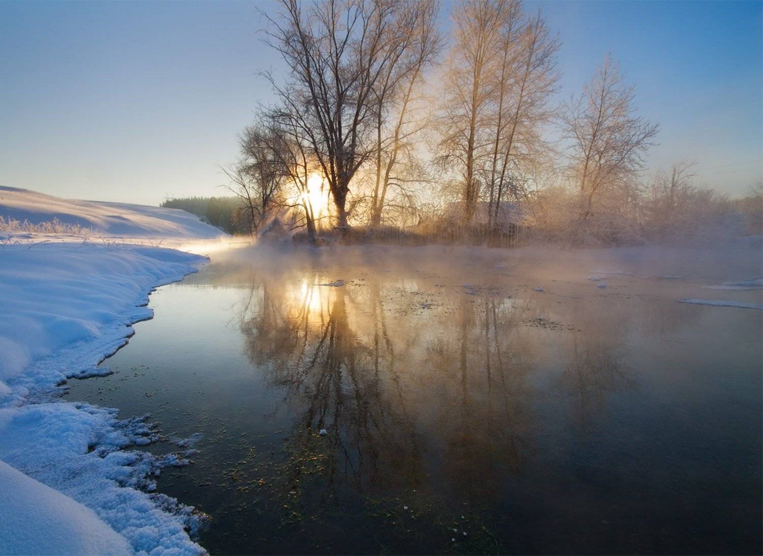 , Коровин Владимир