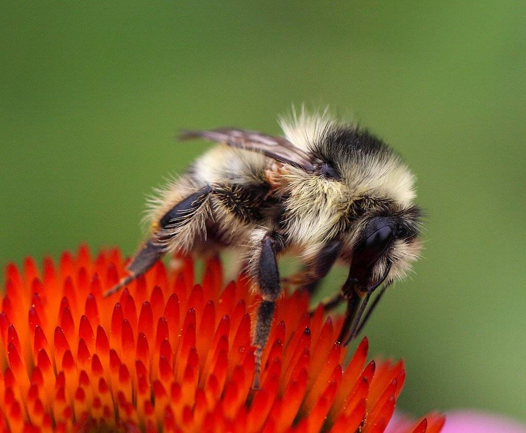 , Сергей Таланов