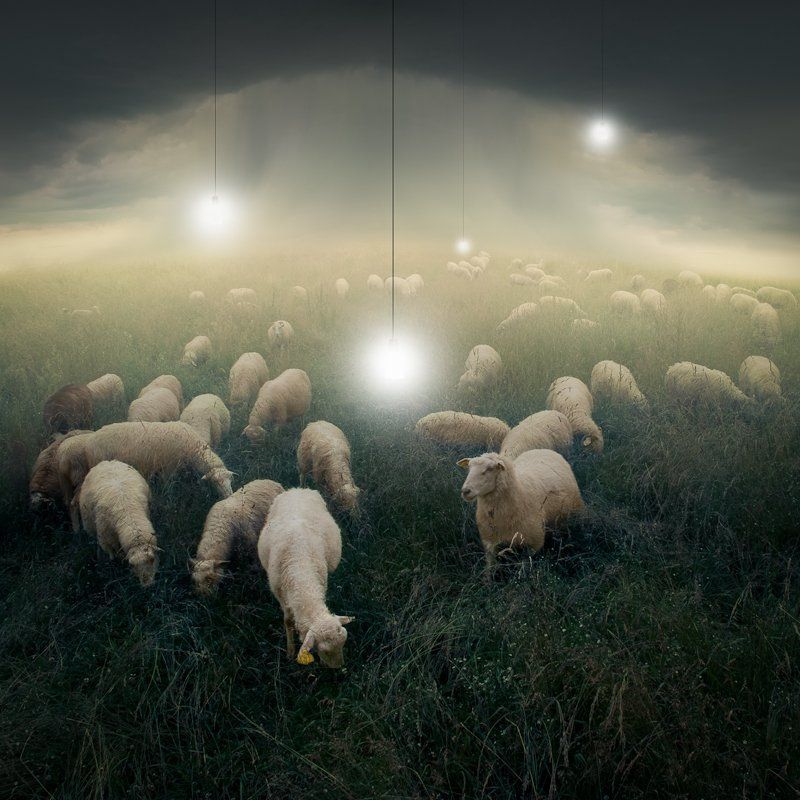 ABOUT US I. фото превью