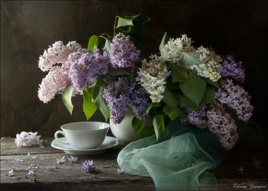 , Eleonora Grigorjeva