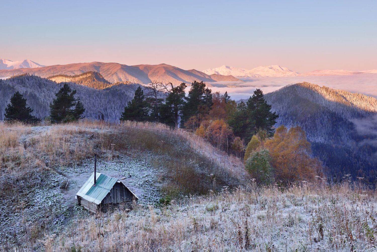 , Максим Евдокимов