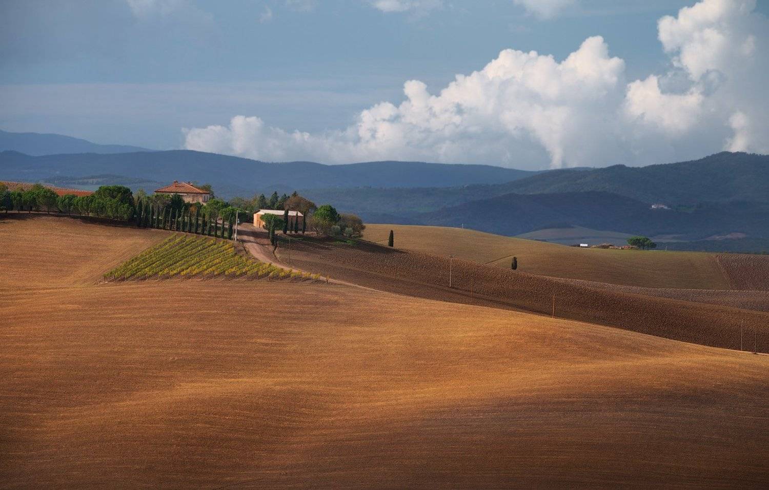 , Сергей Лукс