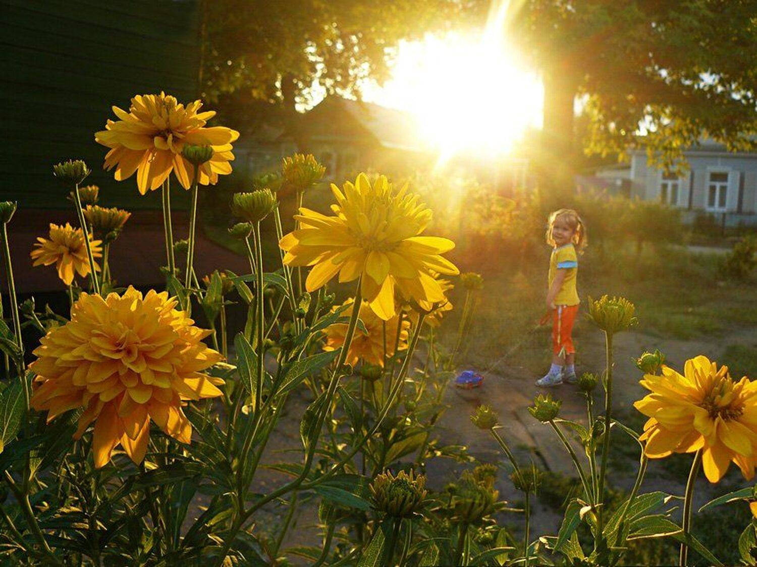 , Татьяна Морозова