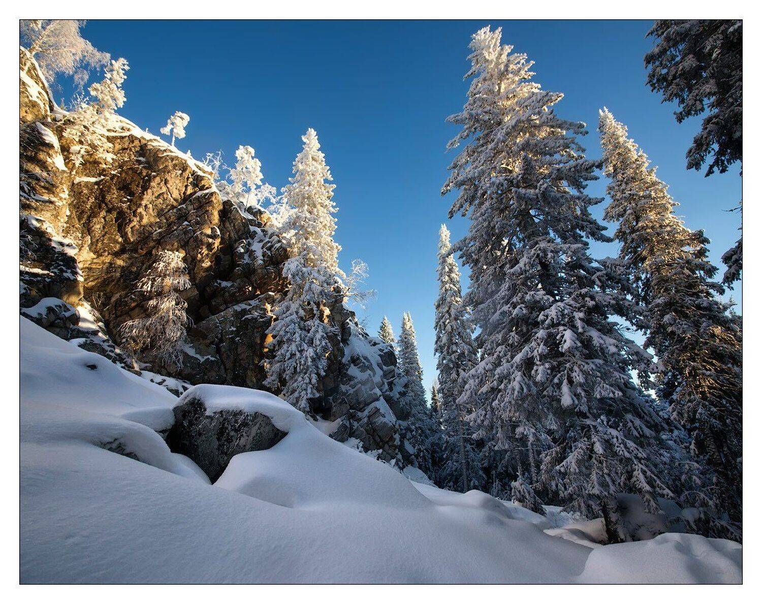 , Владимир Ляпин