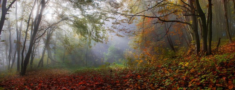 Осенний уют фото превью