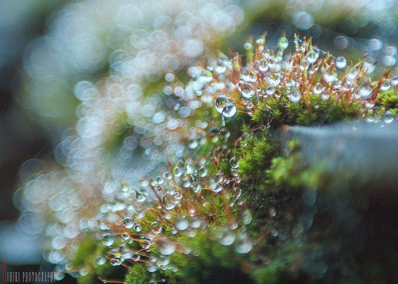 ... фото превью