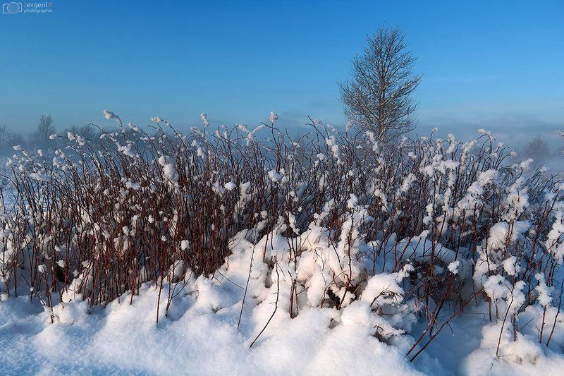 Blue, Daylight, Estonia, Frost, Jevgeni, Kurnikov, Light, Season, Sun, Winter Туманно Морозный зимний день фото превью