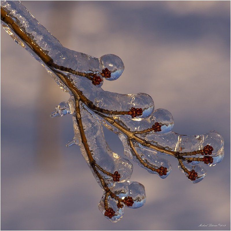 Crystal, Evening, Ice, Rein, Sunset, Winter Dream in a crystal фото превью