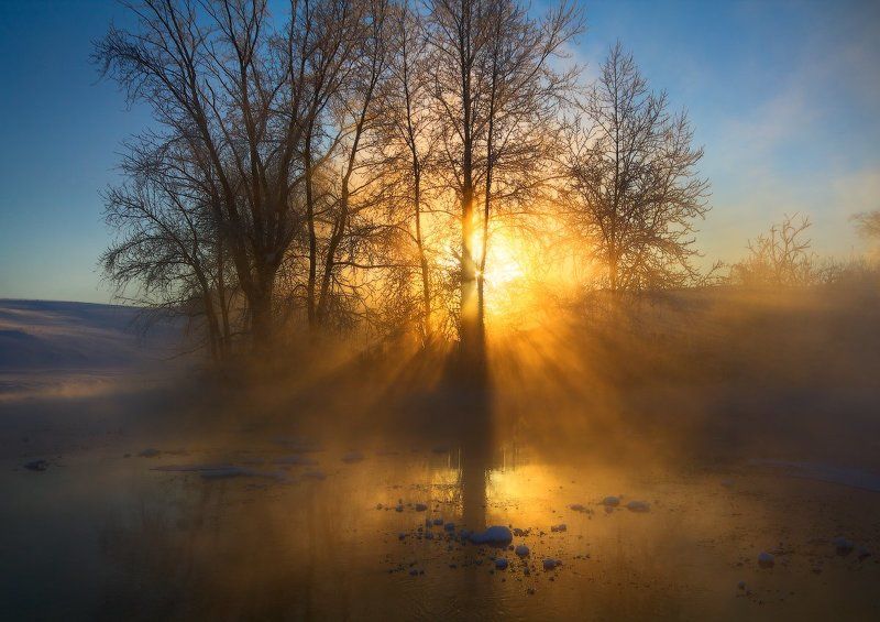 Вечерний свет. фото превью