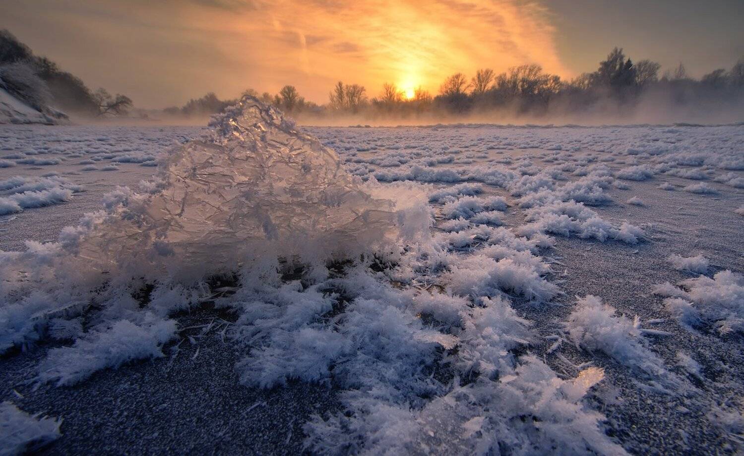 , Максим Евдокимов